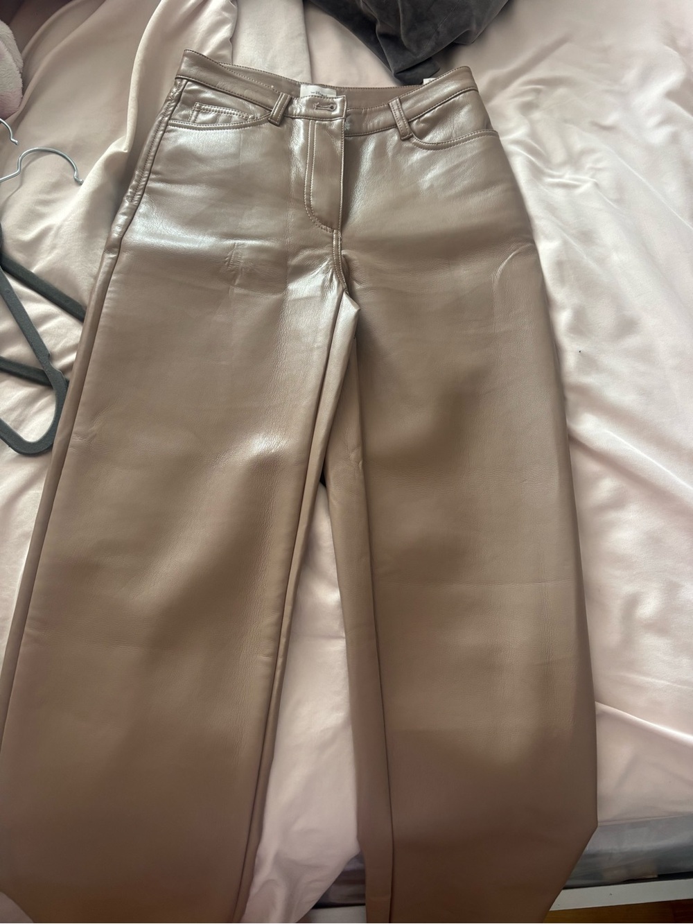 Aritzia leather pants